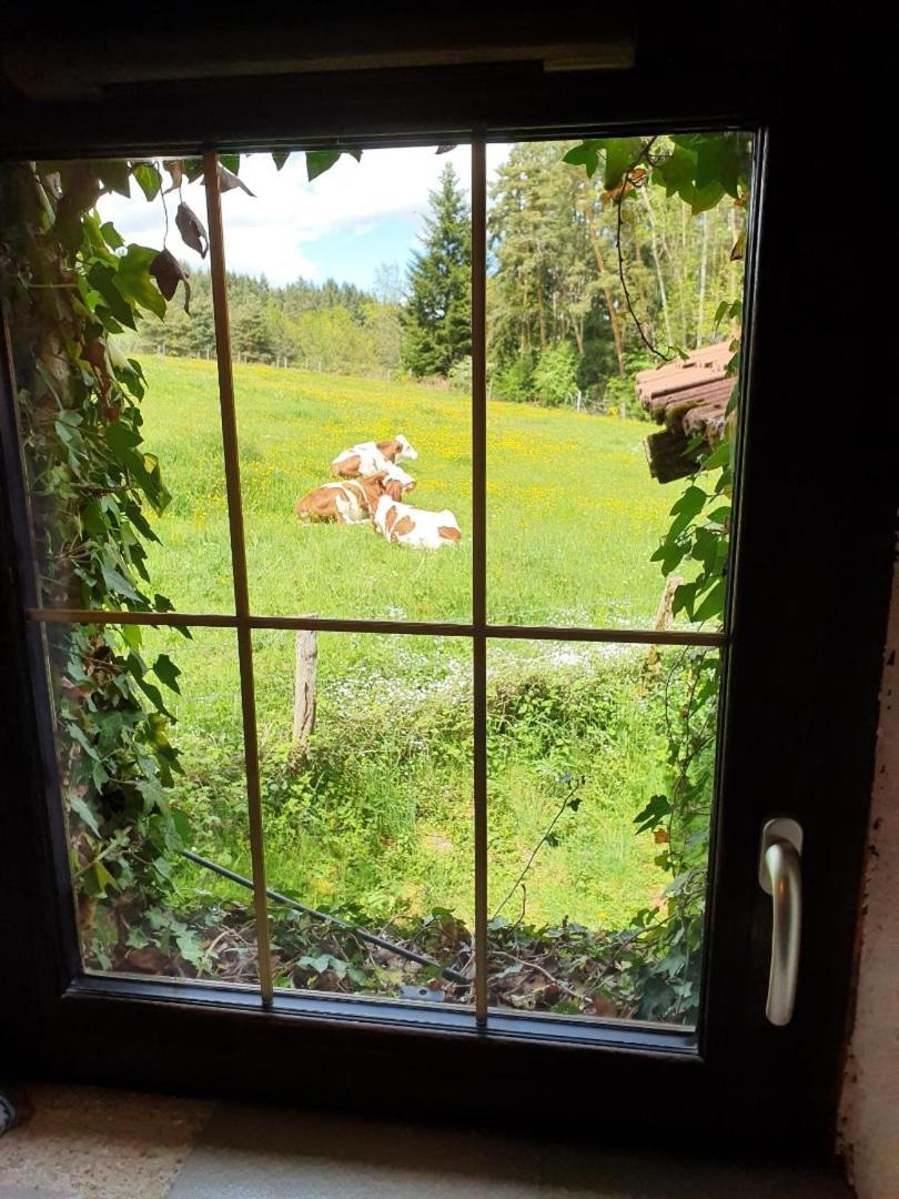 Holiday home Maison De Charme En Livradois
